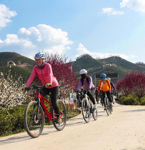 室友1.3游戏攻略：新手必看！避免踩坑指南