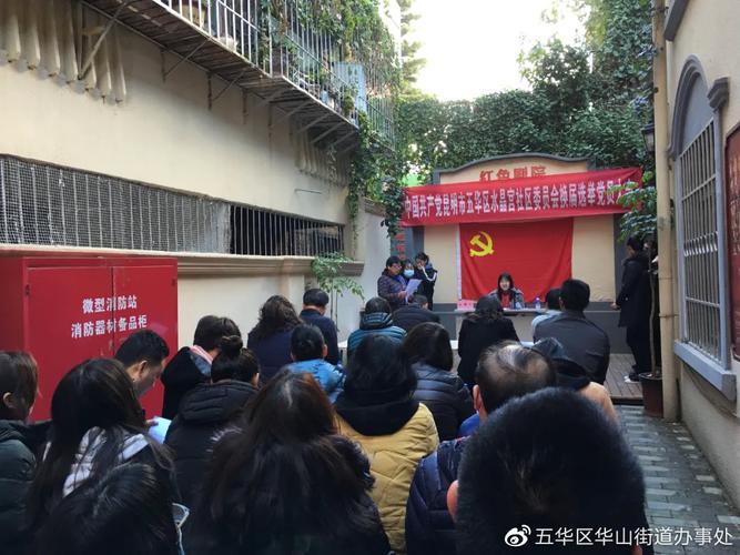 模拟社区活动：参与真实的模拟社区选举