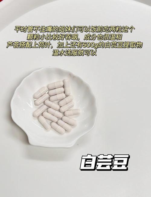 室友1.3游戏攻略：新手必看！避免踩坑指南