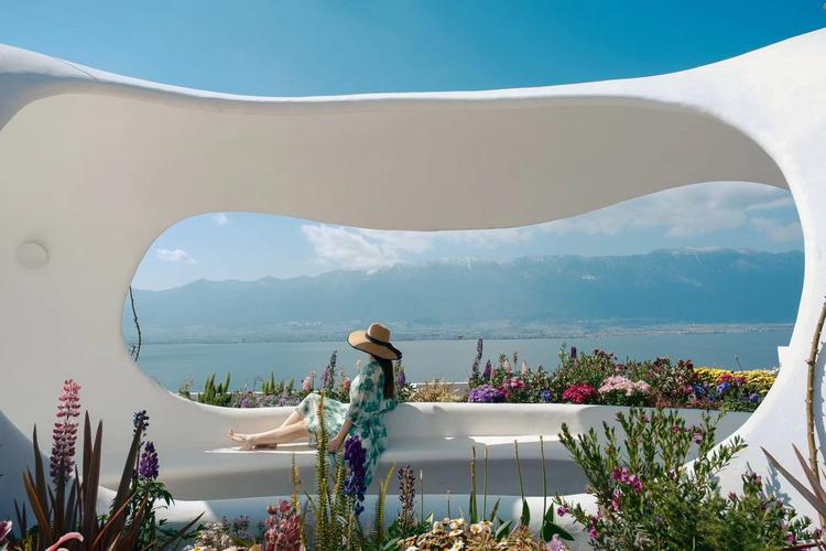 如何轻松下载梦幻之地？高清资源免费获取