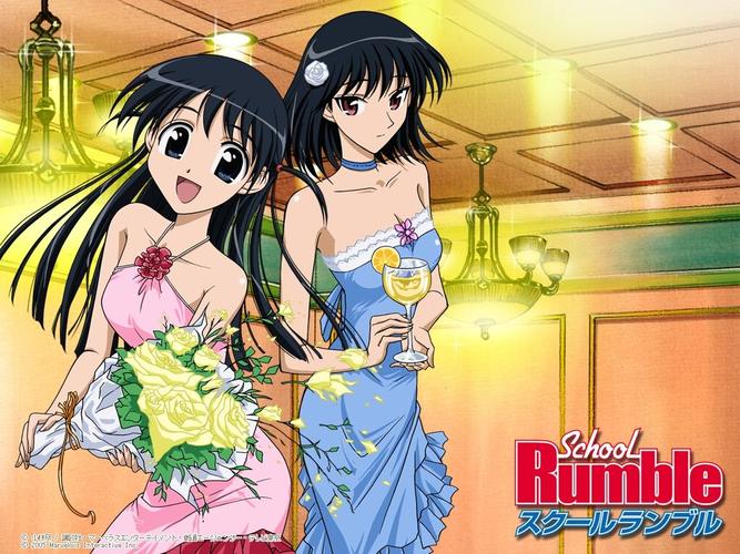 大和抚子版本大全:不同版本对比,带你发现更多精彩