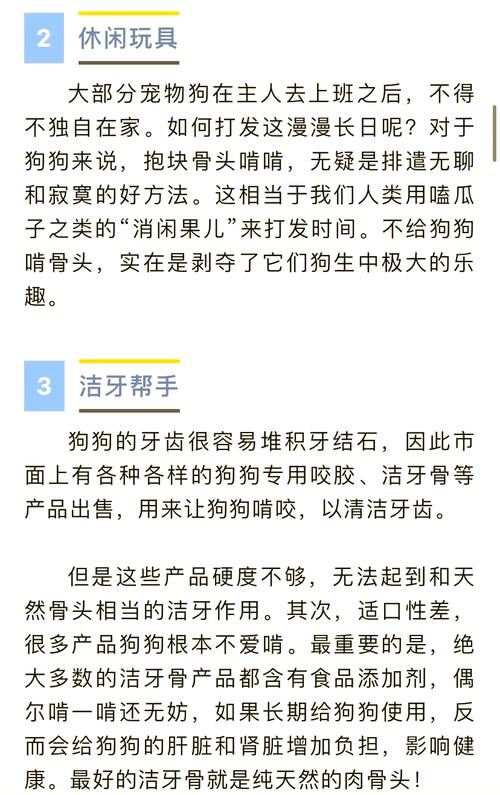 如何玩转狗和骨头游戏?新手通关技巧大公开!