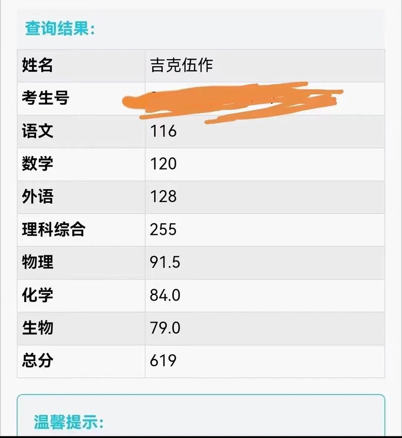 好分数在线查成绩:学生家长必备查分神器!