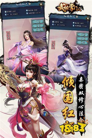 双修武林游戏攻略：快速升级和战斗技巧详解