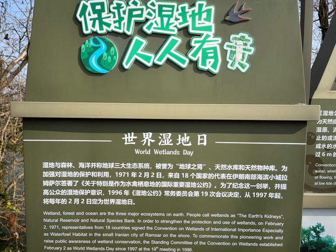 湿地被称为什么？它对地球有多重要你知道吗？