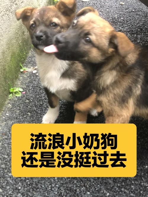 大兄弟更新地址:持续更新,精彩内容不断