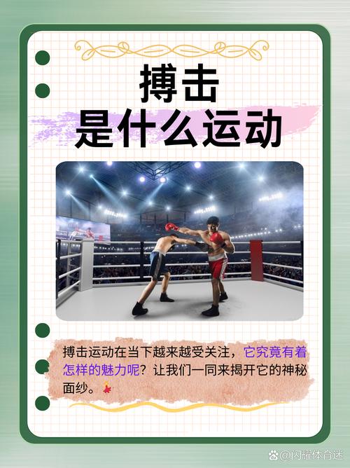 体育比赛中的猛击：规则、判罚及安全问题