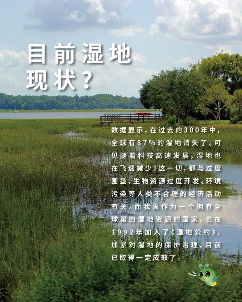 湿地被称为什么？它对地球有多重要你知道吗？