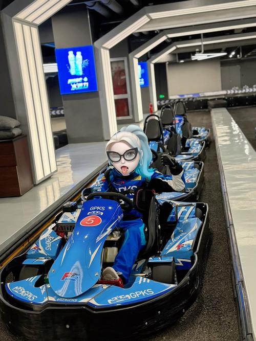 想体验速度与激情？来玩极速哈士奇吧！