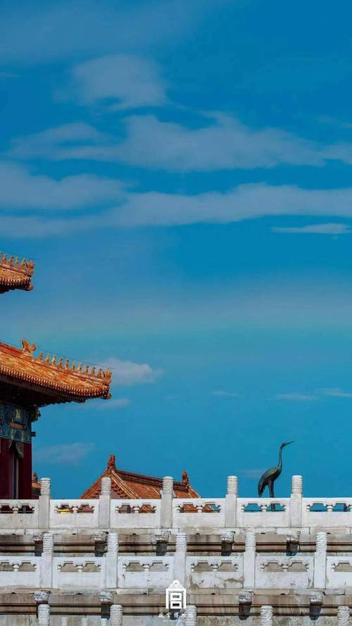 史上最全御曹司版本大全:高清资源一网打尽