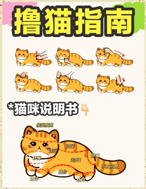 喵喵岛3版本大全：玩转各个版本的小技巧