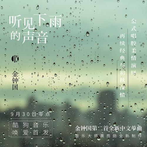 雨季来临，如何轻松下载喜欢的歌曲和专辑？