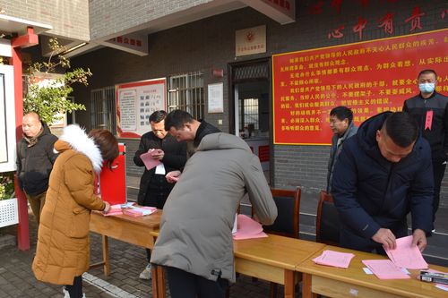 模拟社区活动：参与真实的模拟社区选举