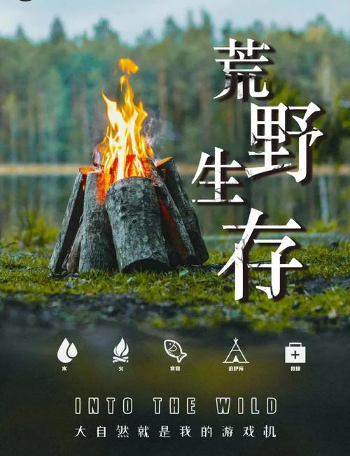生存技能:学习必要的生存技能,让你远离危险!