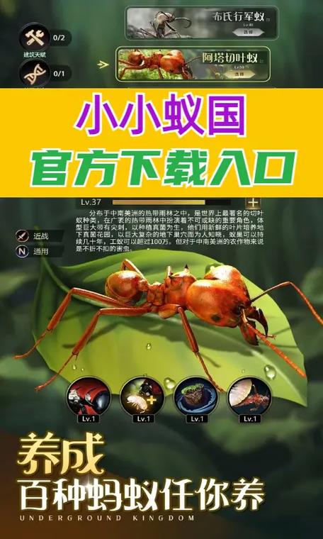 蚂蚁链接搜索引擎好用吗？下载速度快不快？