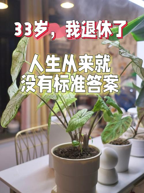 急寻奉献的困境更新地址?别着急,这里有答案!