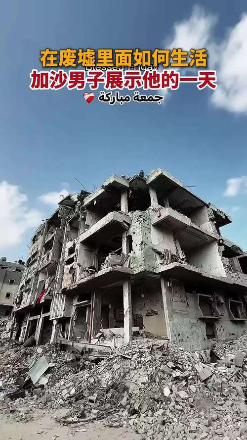 这就是我的战争:在废墟中求生的真实写照