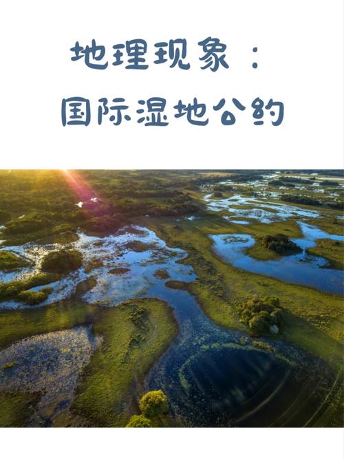 湿地被称为什么？它对地球有多重要你知道吗？