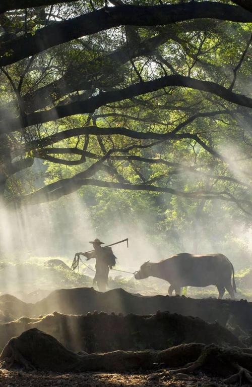 热播剧蜜糖村：带你感受不一样的田园生活