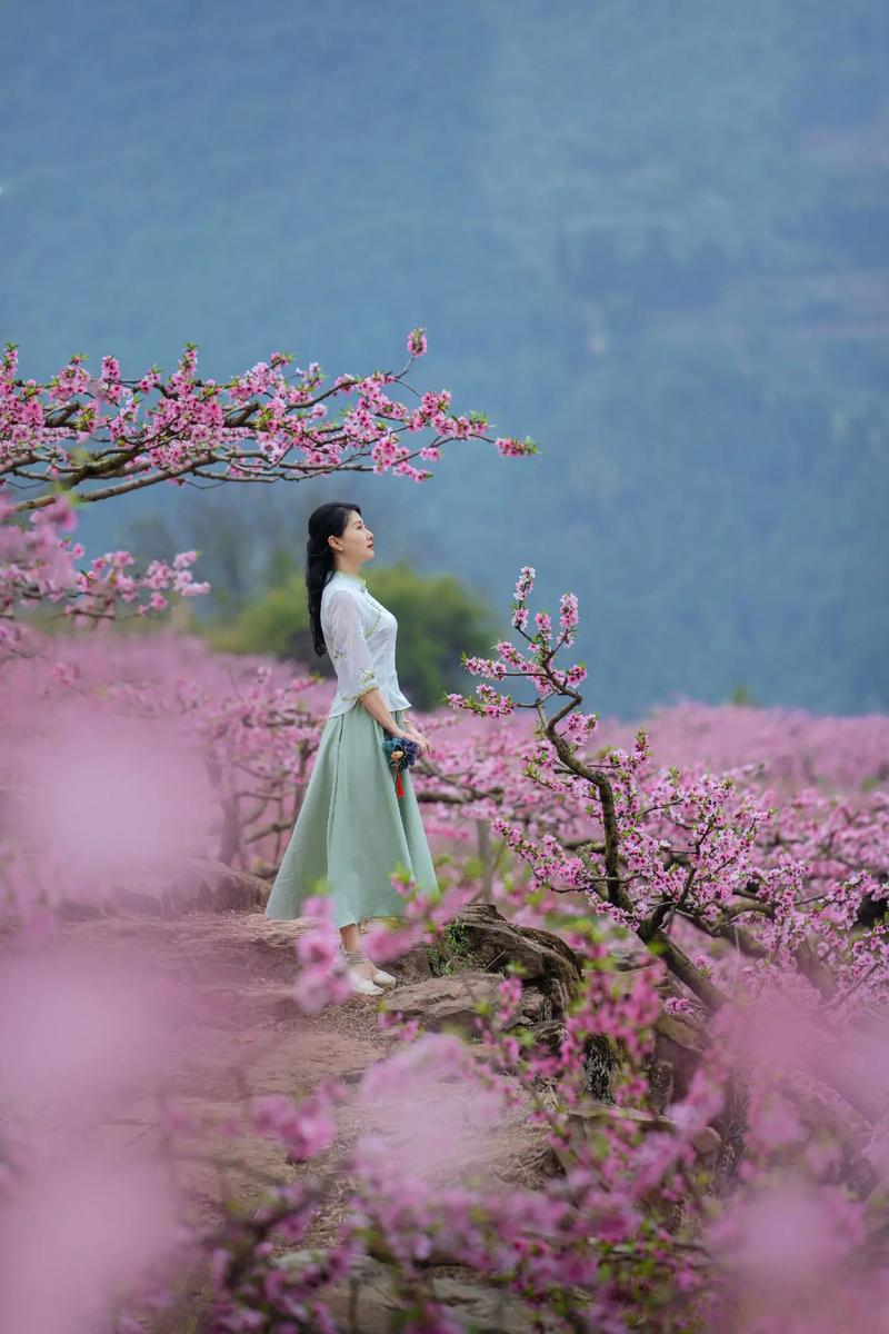 想玩桃花境？教你快速找到下载地址和方法！