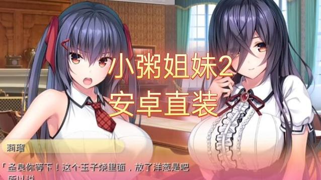 小粥姐妹黏膜游戏玩法详解：快速通关技巧