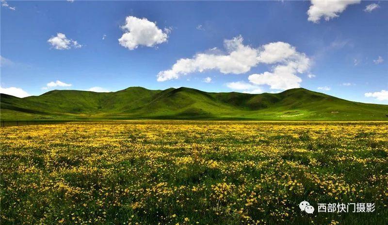 青青草原下载地址大全,找到你想要的版本!