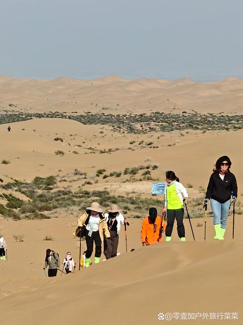 想玩沙漠追猎者？这里提供官方及其他下载地址