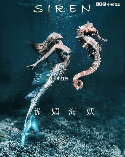 玩转黑暗海妖最新版本：完整套装获取攻略