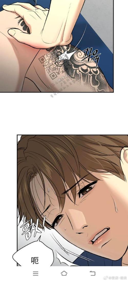 银之魔界2绅士游戏下载：避坑指南及技巧