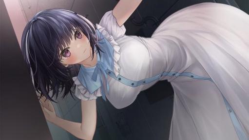 想体验魅魔莉莉姆升级？绅士游戏推荐，不容错过！