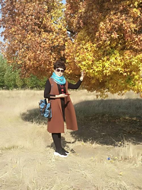 枫之恋下载地址汇总：避免病毒陷阱的下载指南