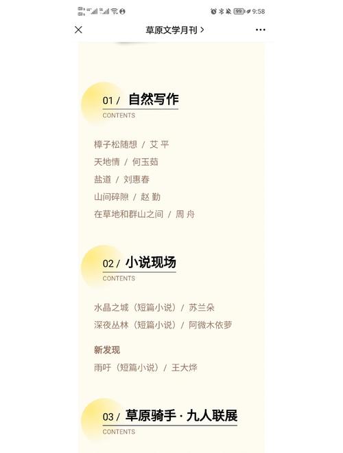 探秘少年阿宾:小说与绅士游戏的魅力碰撞