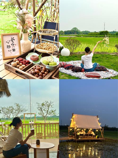 乡下生活最新玩法：体验农家乐，感受慢生活魅力