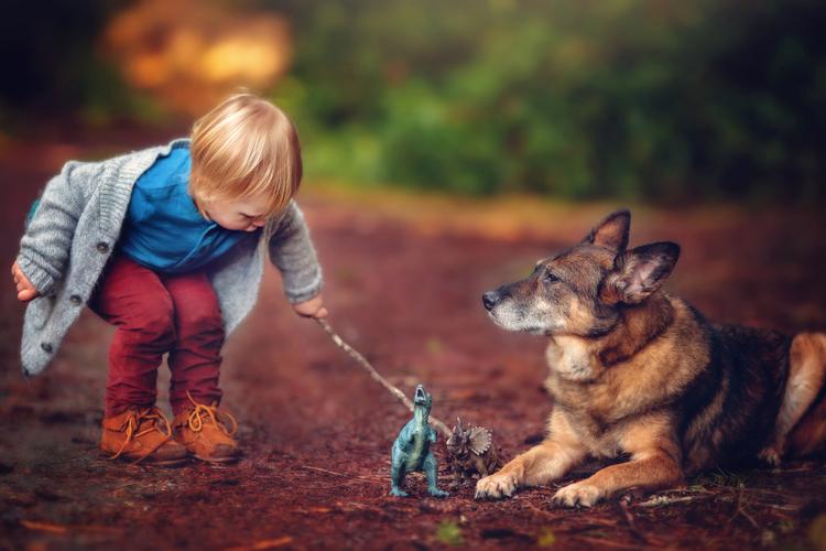 孩子爱玩阳光下的野兽？这款游戏到底怎么样？