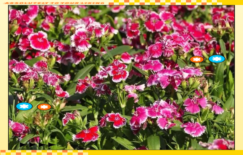 VAM纯净中文版杨过游戏:新手入门必看攻略