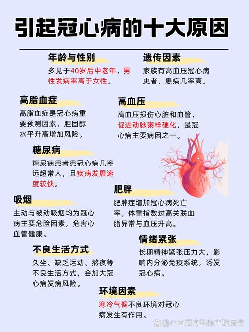 各类心脏问题详解：版本大全，帮你轻松识别和预防心脏疾病