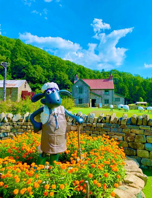 日本新起点：内有小羊官网带你玩转日本市场