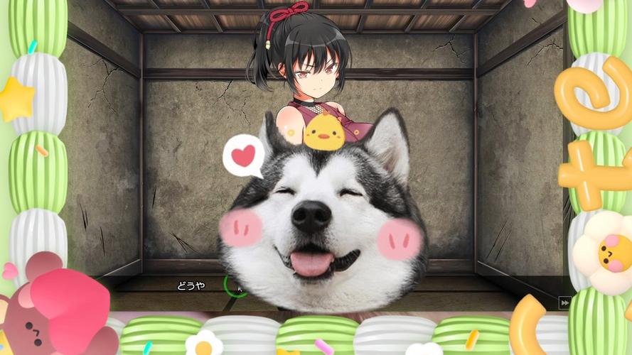 史上最全忍堕版本大全,赶紧收藏!