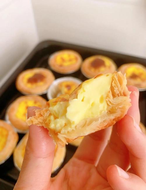 小绿山内有海阁下载教程:新手小白也能轻松上手!