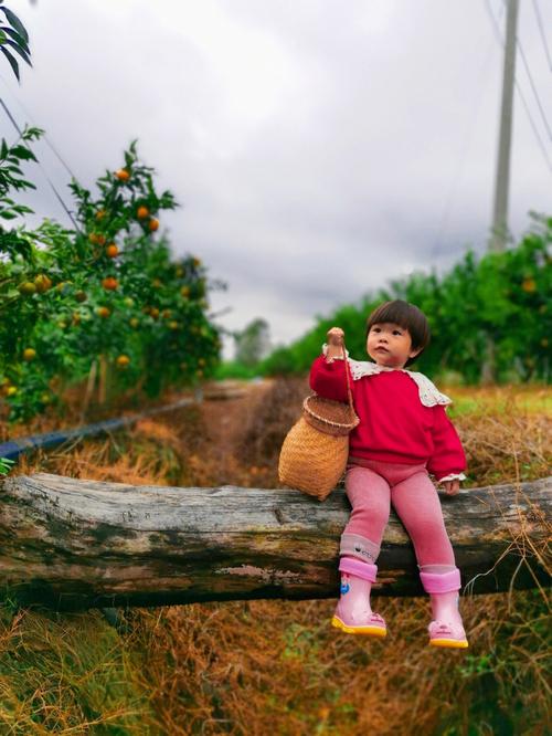如何下载我很荣幸?小白也能快速学会
