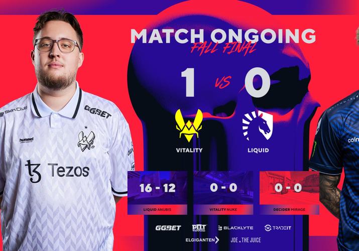 ViRility活力8.6.1汉化版：完整版游戏资源轻松下载