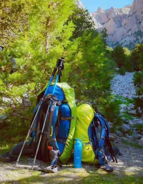 小绿山内有海阁下载教程:新手小白也能轻松上手!