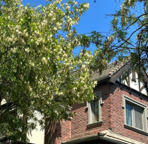 听说最近有个神秘别墅,最新消息都在这里!