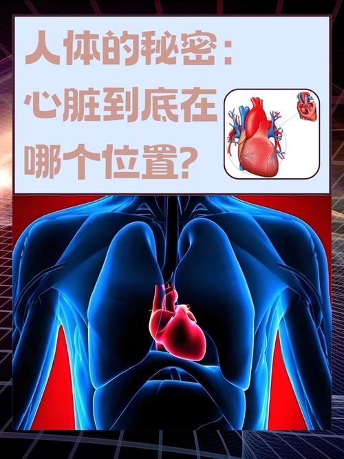 心脏问题在哪下载？靠谱资源推荐及下载方法详解
