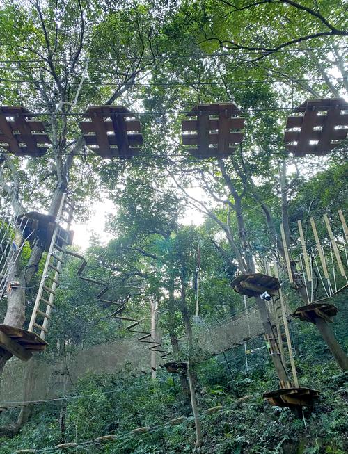 丛林V0.20版本下载:畅玩刺激丛林冒险,神秘宝藏等你发现!