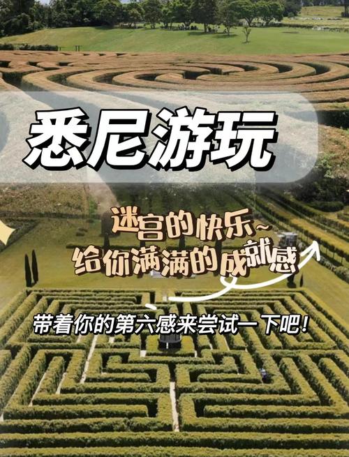 无尽迷宫版本大全：新手玩家必看攻略