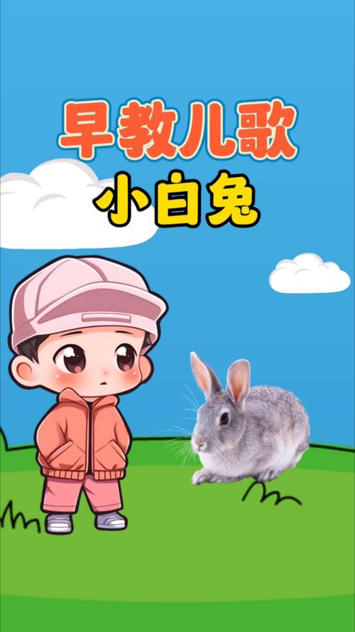 手把手教你下载卡哇伊3，小白也能轻松上手