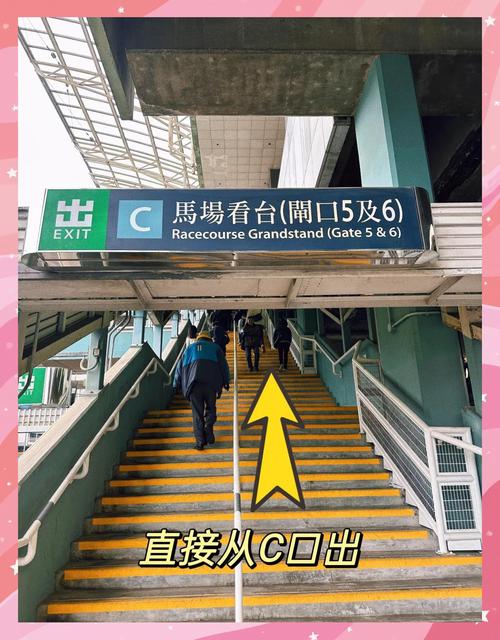 兽耳少女的治疗手游下载攻略，小白也能轻松上手