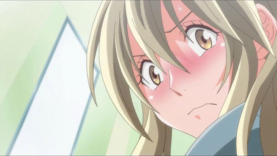 NTR后宫生活游戏下载：最新版官方正式版免费下载