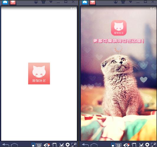 当你的猫咪在哪下载?不同平台下载方法详解!